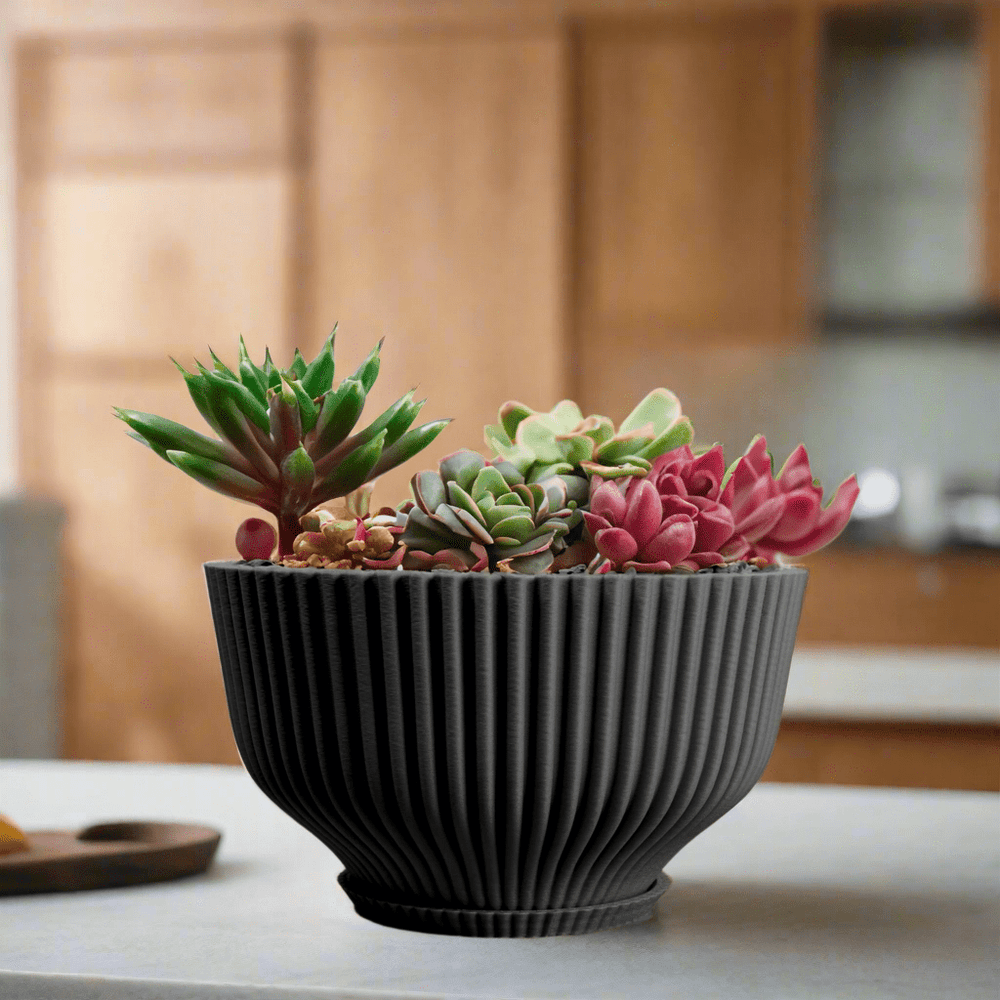 
                      
                        Rosebud HomeGoods Bonsai Pot with Drainage and Saucer - lily & onyx
                      
                    