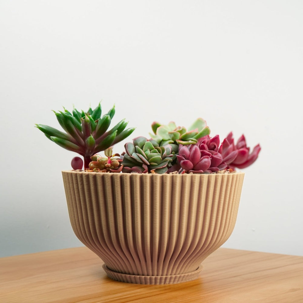 
                      
                        Rosebud HomeGoods Bonsai Pot with Drainage and Saucer - lily & onyx
                      
                    