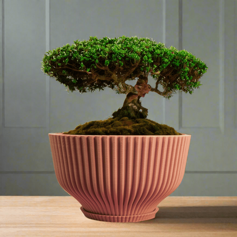 
                      
                        Rosebud HomeGoods Bonsai Pot with Drainage and Saucer - lily & onyx
                      
                    