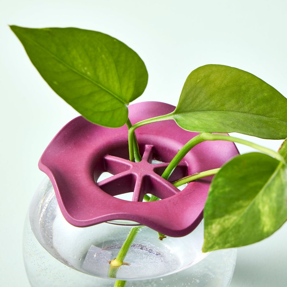 
                      
                        Modern Sprout Botanical Keepers, Set of 2 - lily & onyx
                      
                    