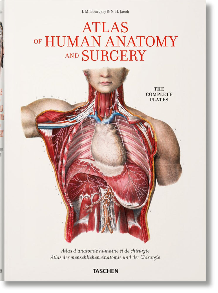 TASCHEN Bourgery. Atlas of Human Anatomy and Surgery (German, French, English) - lily & onyx