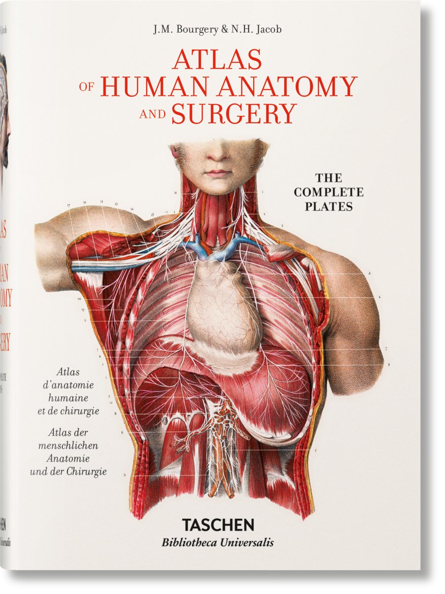 TASCHEN Bourgery. Atlas of Human Anatomy and Surgery (German, French, English) - lily & onyx