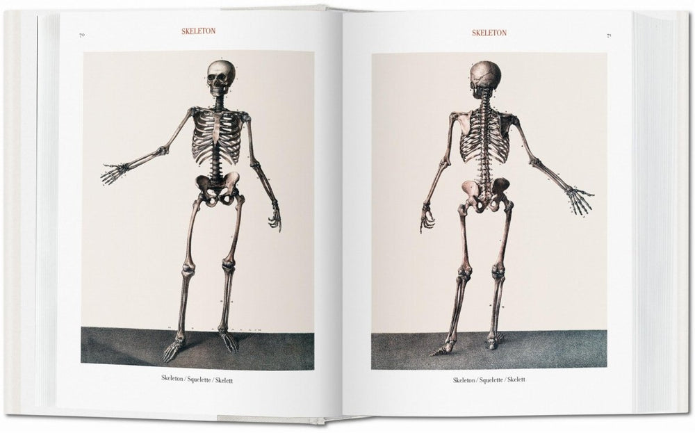 TASCHEN Bourgery. Atlas of Human Anatomy and Surgery (German, French, English) - lily & onyx