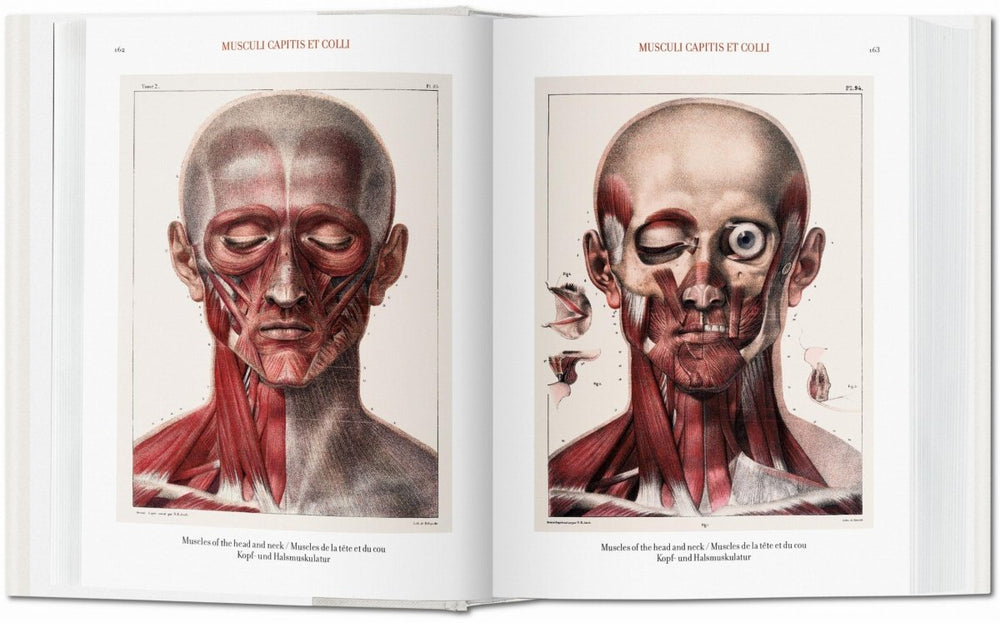 
                      
                        TASCHEN Bourgery. Atlas of Human Anatomy and Surgery (German, French, English) - lily & onyx
                      
                    