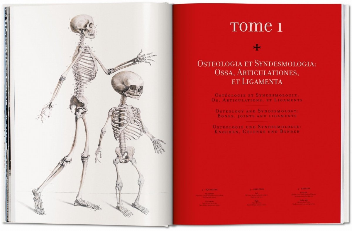 TASCHEN Bourgery. Atlas of Human Anatomy and Surgery (German, French, English) - lily & onyx