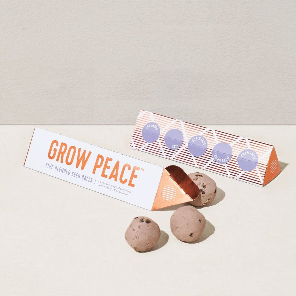 
                      
                        Modern Sprout Bright Side Seed Balls - lily & onyx
                      
                    