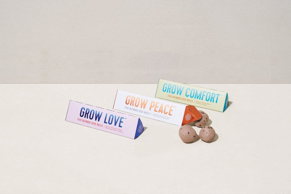 
                      
                        Modern Sprout Bright Side Seed Balls - lily & onyx
                      
                    