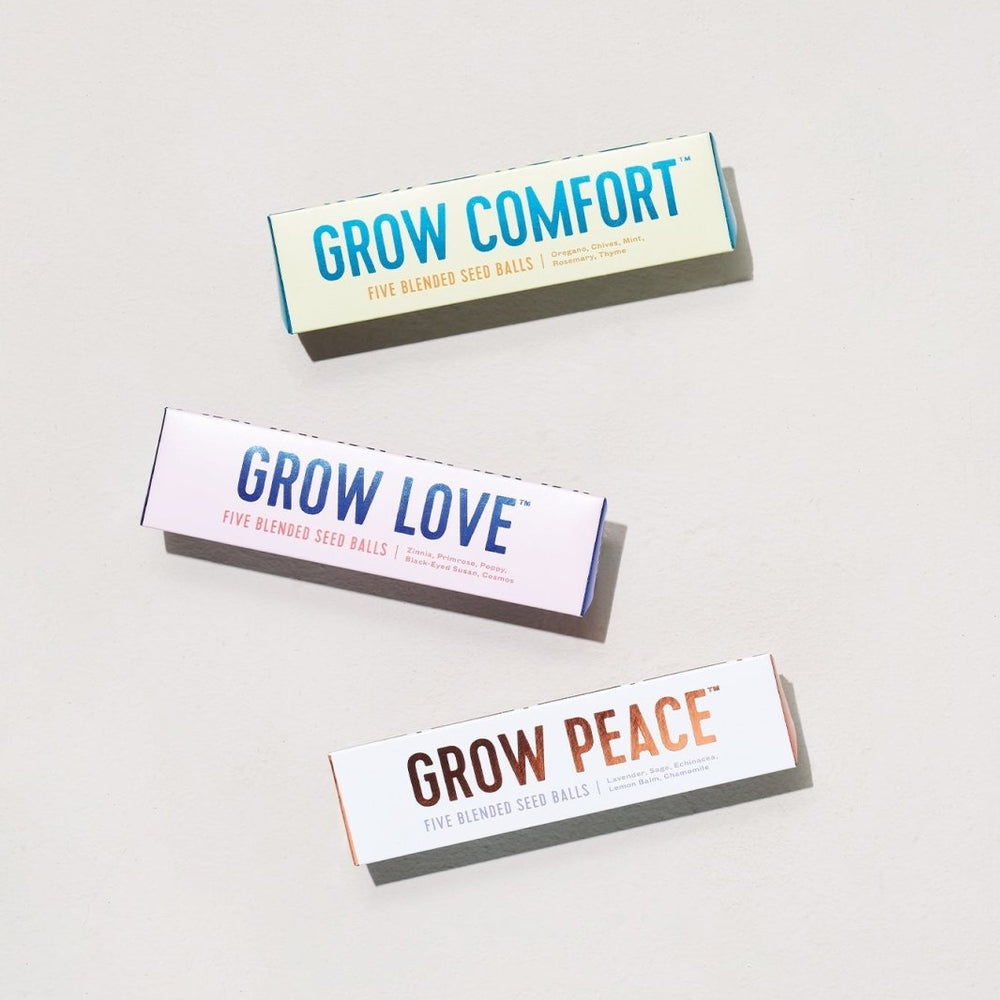 
                      
                        Modern Sprout Bright Side Seed Balls - lily & onyx
                      
                    