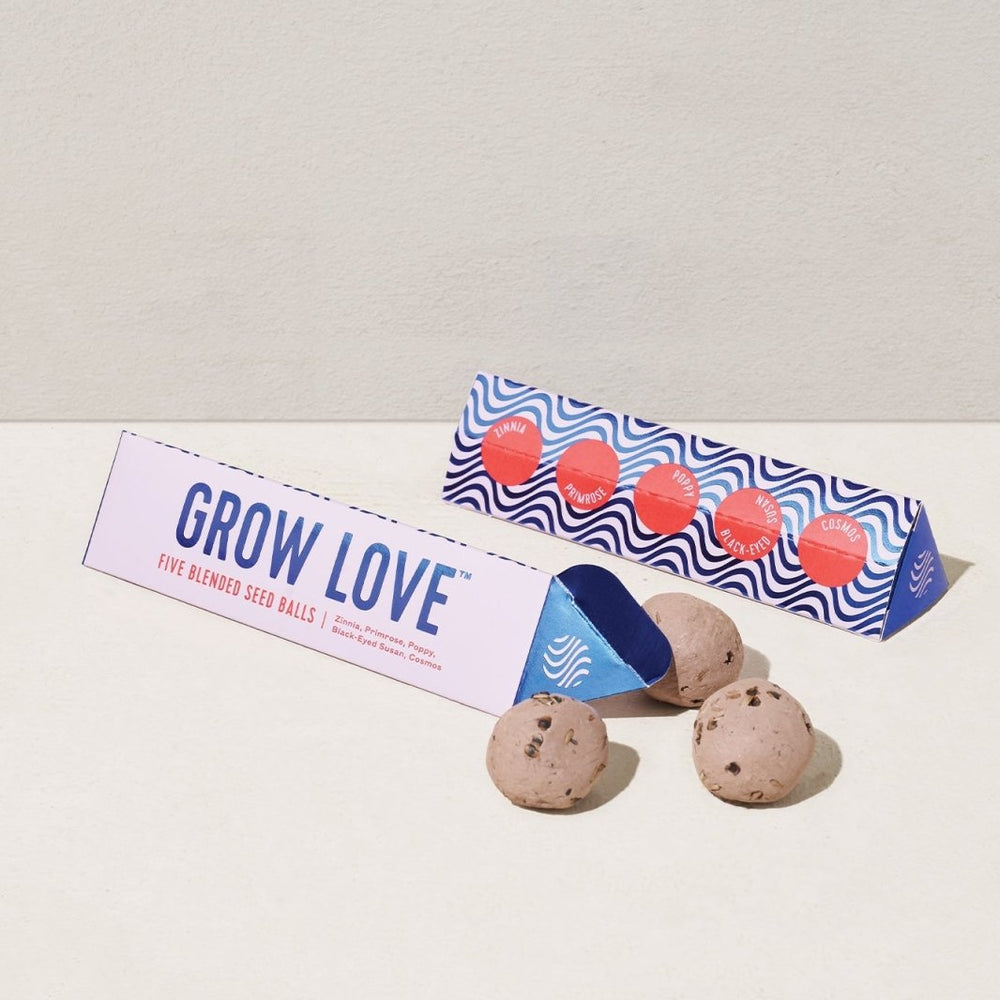 
                      
                        Modern Sprout Bright Side Seed Balls - lily & onyx
                      
                    