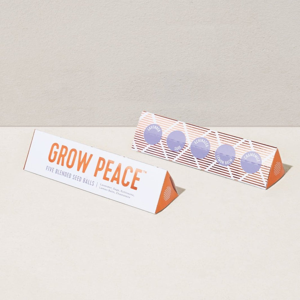 
                      
                        Modern Sprout Bright Side Seed Balls - lily & onyx
                      
                    