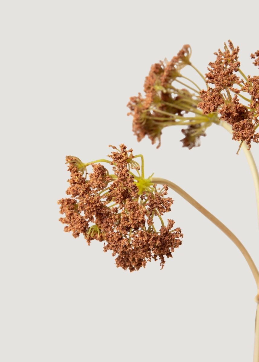 Afloral Bronze Brown Fake Yarrow Bundle of 5 - 18.75" - lily & onyx