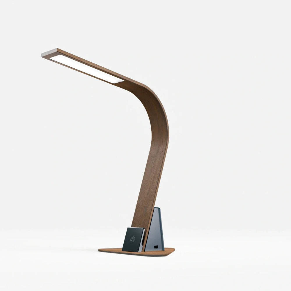 
                      
                        LUX LED Lighting Brooklyn USB LED Task Light - lily & onyx
                      
                    