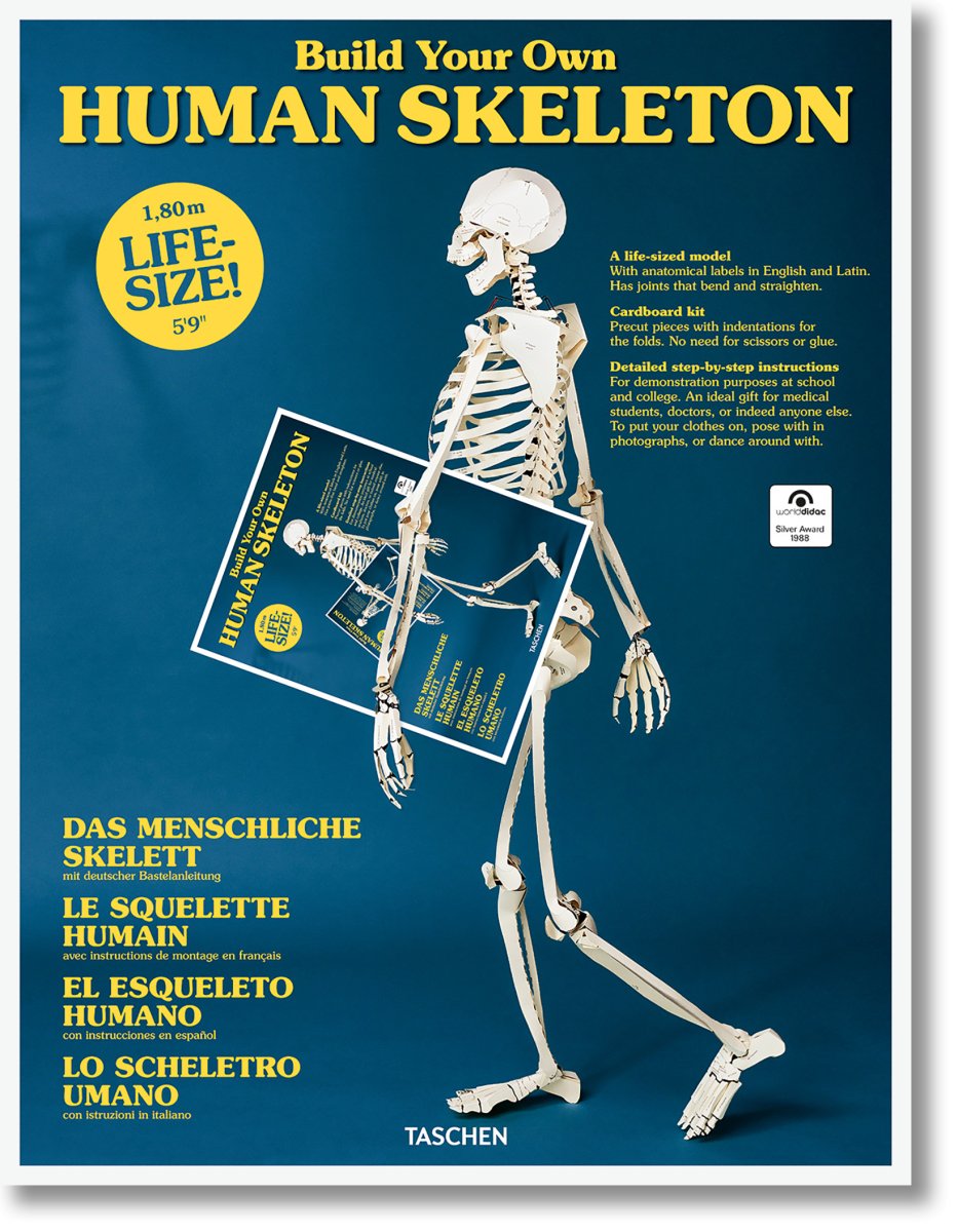 TASCHEN Build Your Own Human Skeleton (German, Spanish, French, English, Italian) - lily & onyx