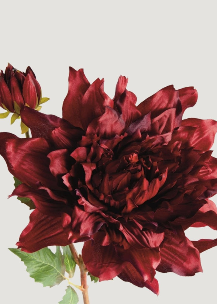 
                      
                        Afloral Burgundy Red Artificial Dahlia Flower - 21.5" - lily & onyx
                      
                    