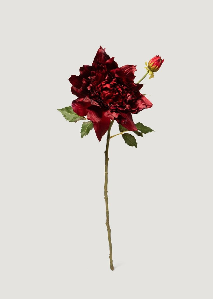 
                      
                        Afloral Burgundy Red Artificial Dahlia Flower - 21.5" - lily & onyx
                      
                    