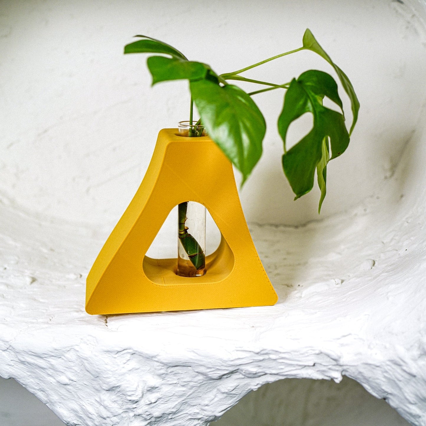 “C” Art Nouveau Propagation Station
