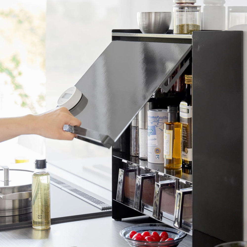 
                      
                        Concealable Steel Spice Rack
                      
                    