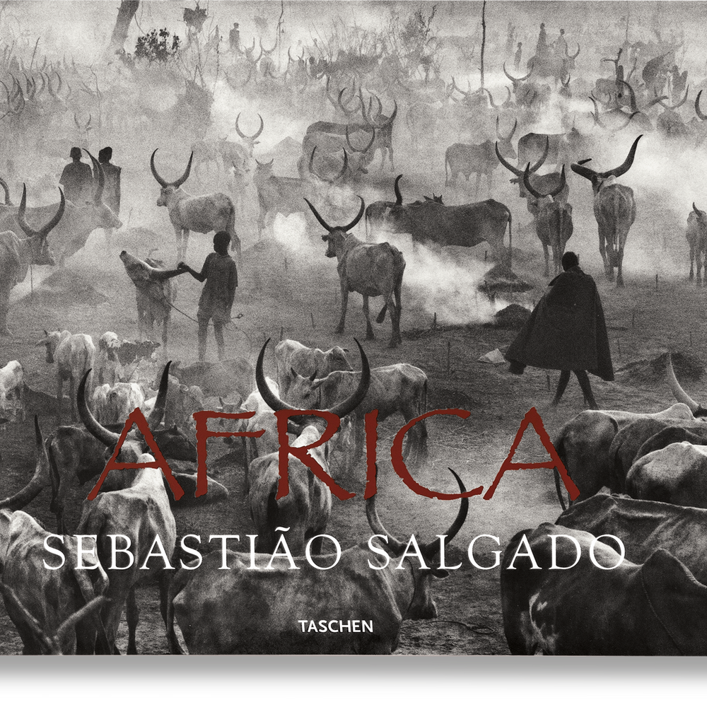 
                      
                        Sebastião Salgado. Africa (German, French, English)
                      
                    