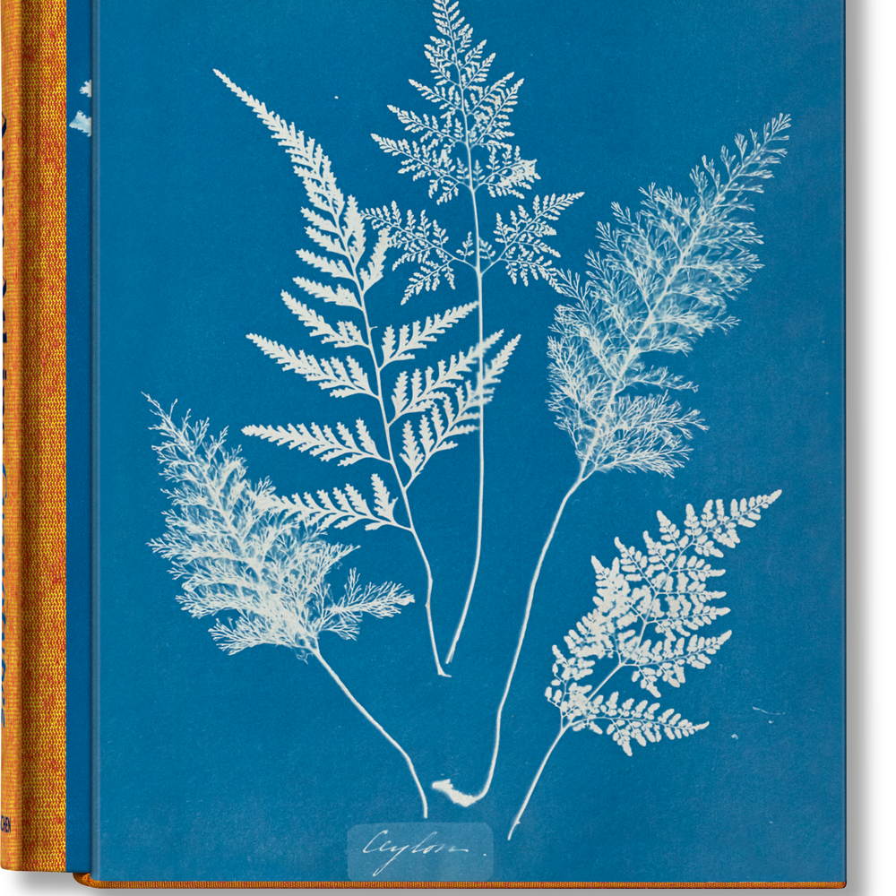 Anna Atkins. Cyanotypes (German, French, English) (FFE)