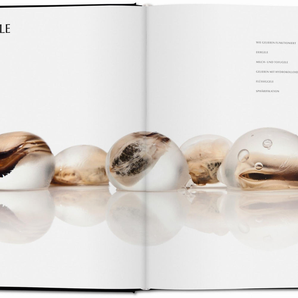 
                      
                        Modernist Cuisine. El arte y la ciencia de la cocina (Spanish)
                      
                    