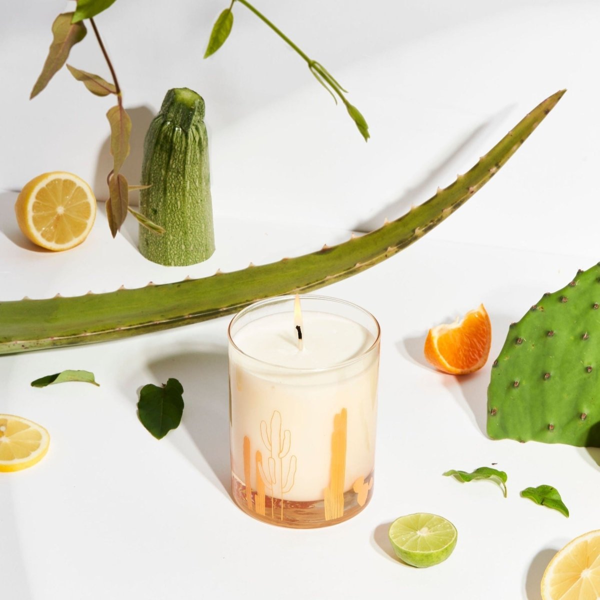 Wax Buffalo Cactus Fragrance - lily & onyx