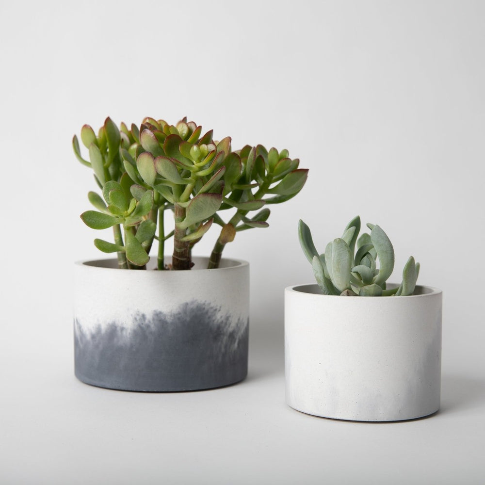 
                      
                        Pretti.Cool Catch - All Concrete Vessel, 5" - Tall - lily & onyx
                      
                    