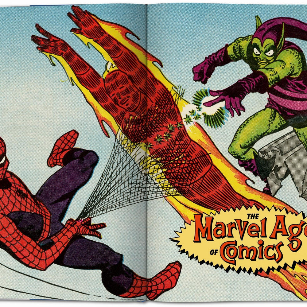
                      
                        The Marvel Age of Comics 1961–1978 (English)
                      
                    