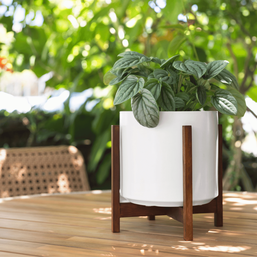 LBE Design Ceramic Cylinder with Mahogany Stand, 8 Inch