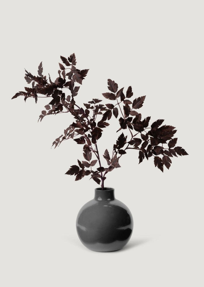 
                      
                        Afloral Ceramic Small Round Vase in Glossy Smoked Taupe, 8" - lily & onyx
                      
                    