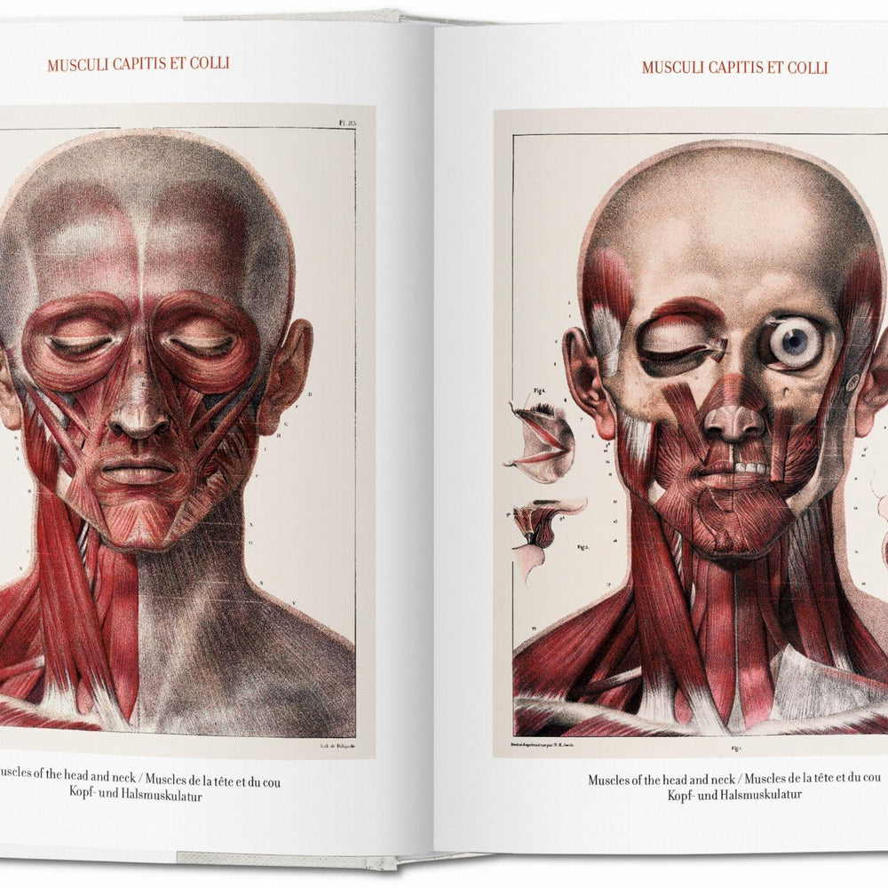 
                      
                        Bourgery. Atlas of Human Anatomy and Surgery (German, French, English)
                      
                    