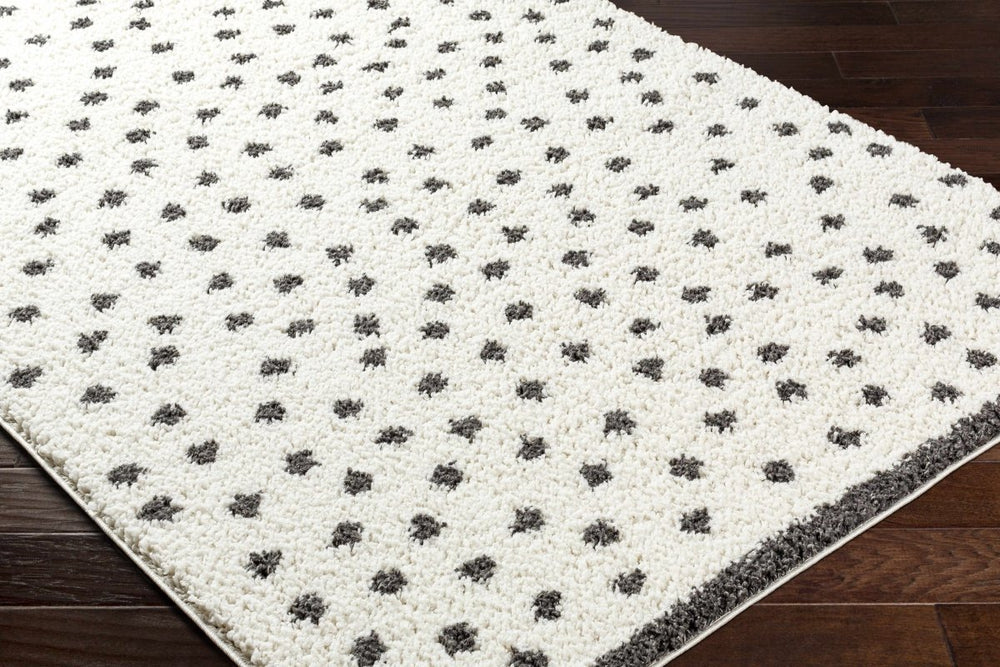 
                      
                        Hauteloom Chaia Dotted Black & White Plush Rug - lily & onyx
                      
                    