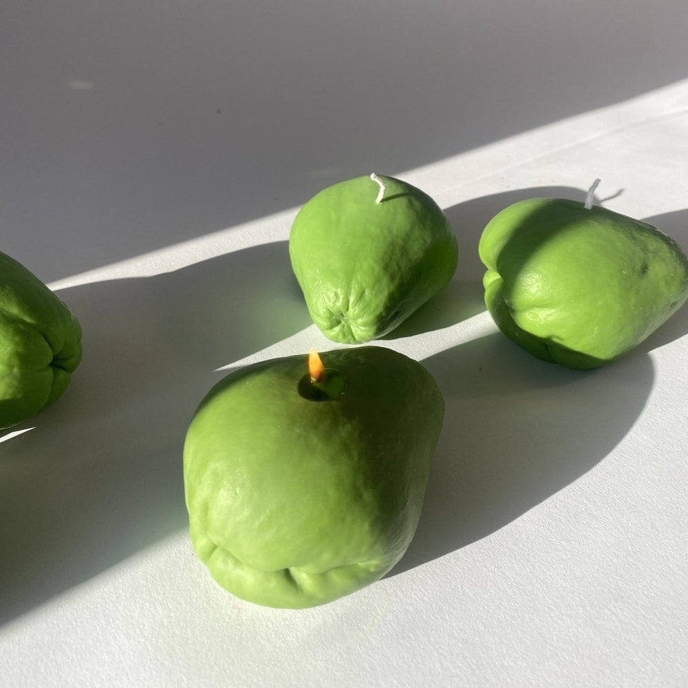 
                      
                        Scandles Chayote Squash Candle - lily & onyx
                      
                    