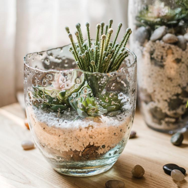 
                      
                        Clear Art Glass Vase
                      
                    