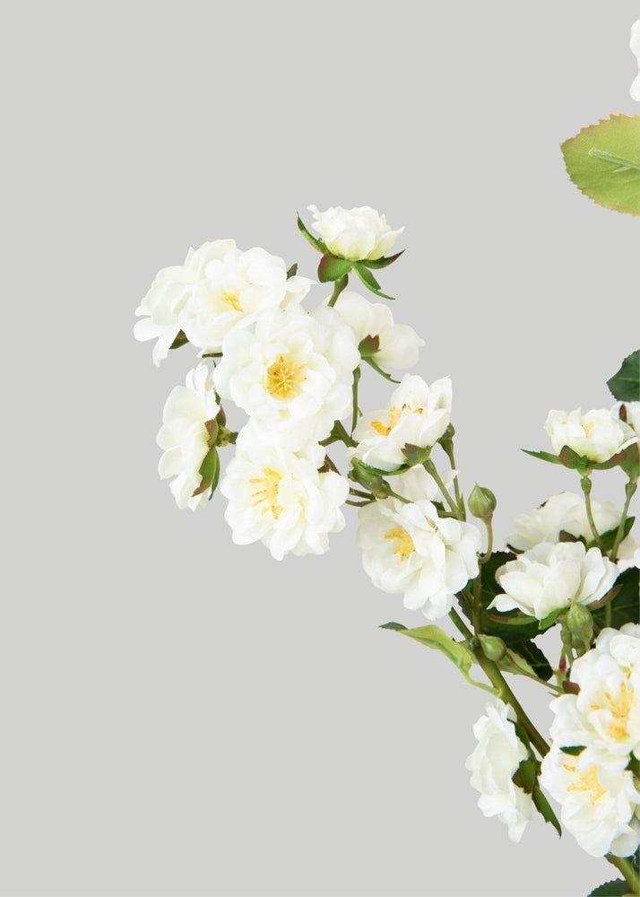 
                      
                        Afloral Climbing Fake Roses Branch in Cream White - 33" - lily & onyx
                      
                    