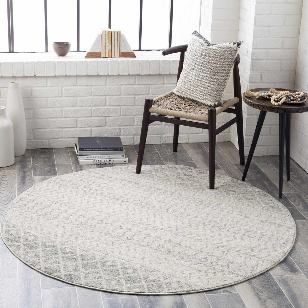 
                      
                        Hauteloom Constantin Gray Area Rug - lily & onyx
                      
                    