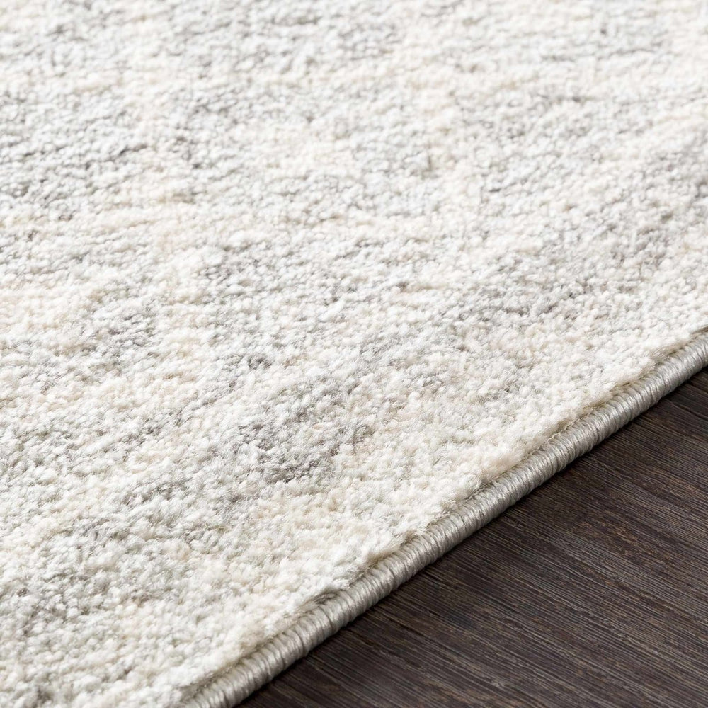 
                      
                        Hauteloom Constantin Gray Area Rug - lily & onyx
                      
                    