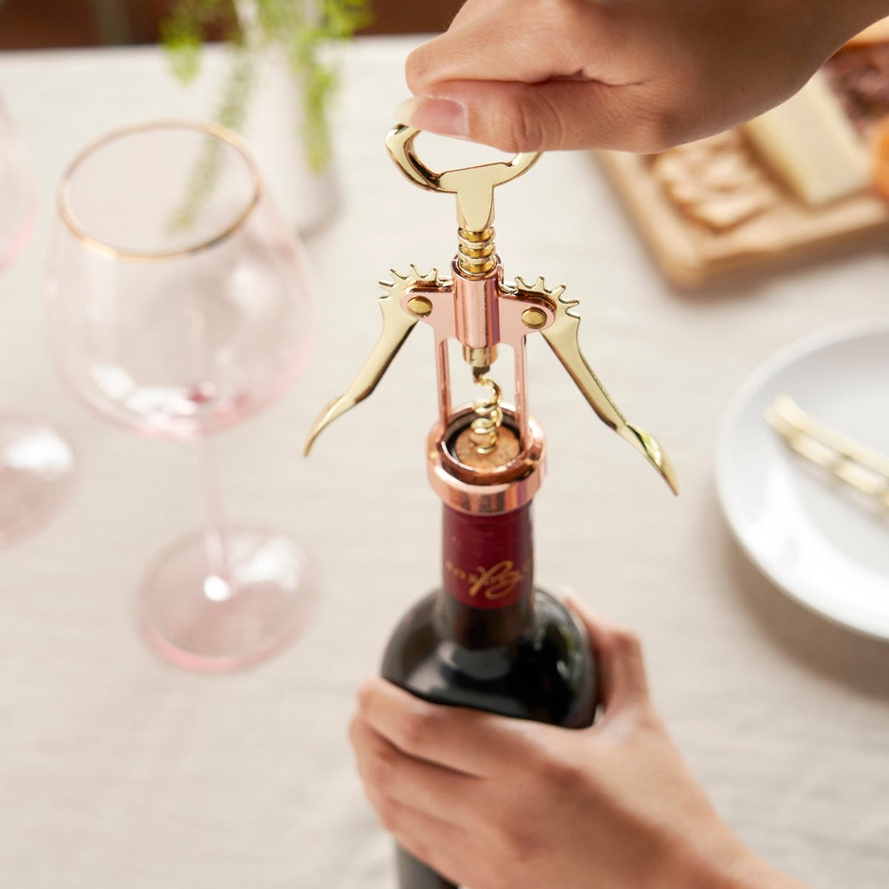 
                      
                        Twine Living Copper and Gold Winged Corkscrew - lily & onyx
                      
                    