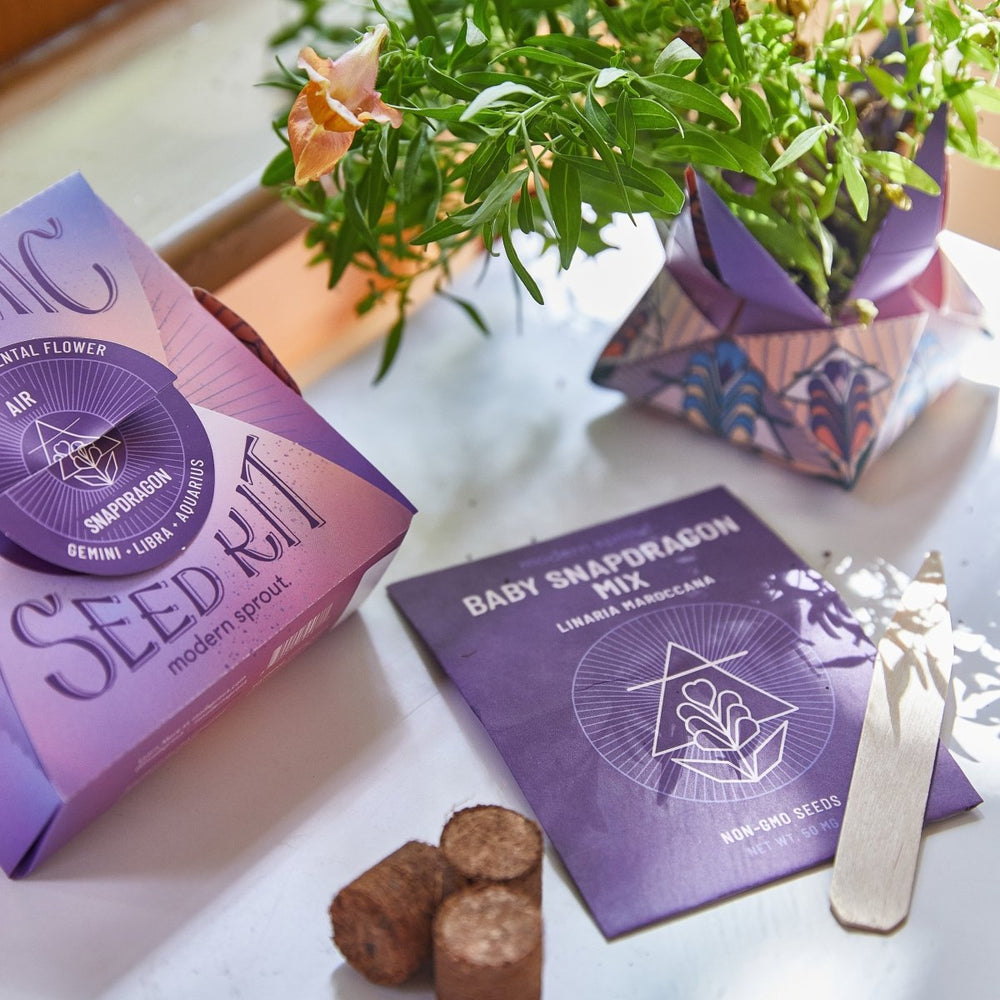 
                      
                        Modern Sprout Cosmic Seed Kits - lily & onyx
                      
                    