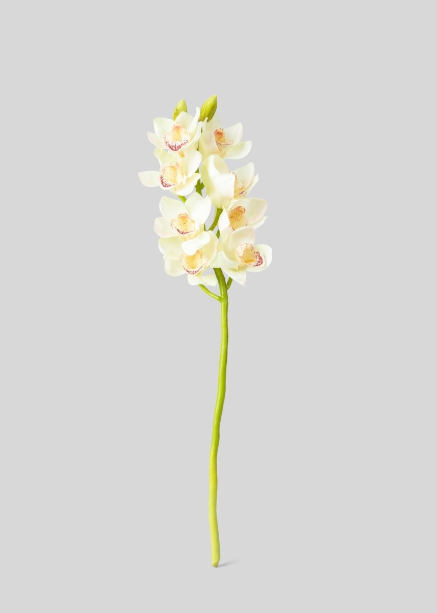 Afloral Cream and Burgundy Artificial Cymbidium Orchids - 28.5" - lily & onyx
