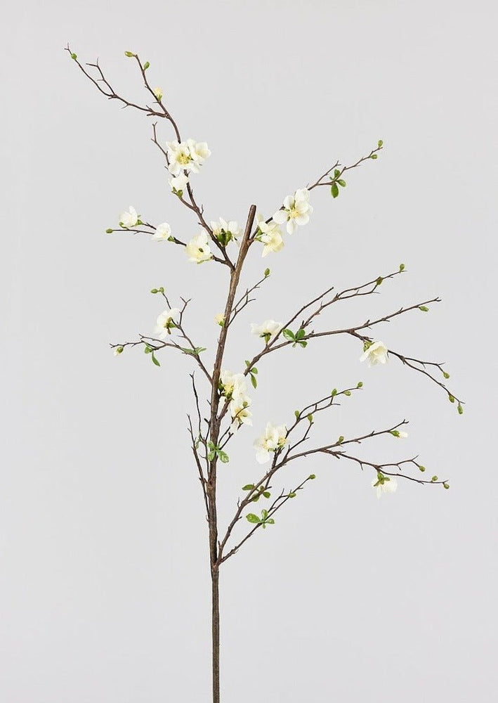 
                      
                        Afloral Cream Artificial Blossom Branch, 57" - lily & onyx
                      
                    