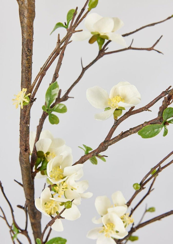 
                      
                        Afloral Cream Artificial Blossom Branch, 57" - lily & onyx
                      
                    