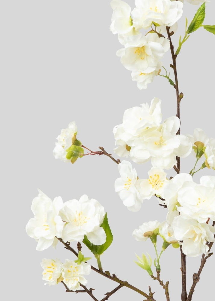 
                      
                        Afloral Cream Artificial Cherry Blossom Branch Pick - 18" - lily & onyx
                      
                    