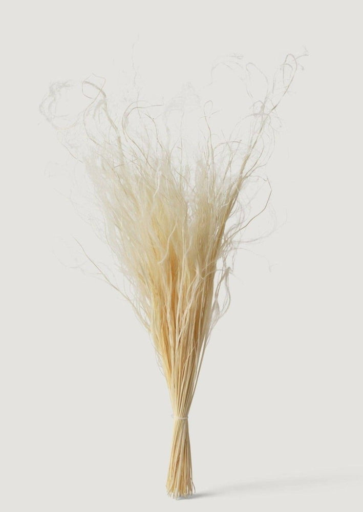 
                      
                        Afloral Cream Dried Feather Grass Bundle, 19 - 22" - lily & onyx
                      
                    