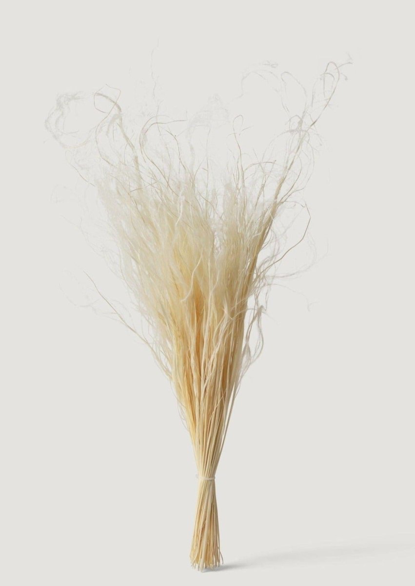 Afloral Cream Dried Feather Grass Bundle, 19 - 22