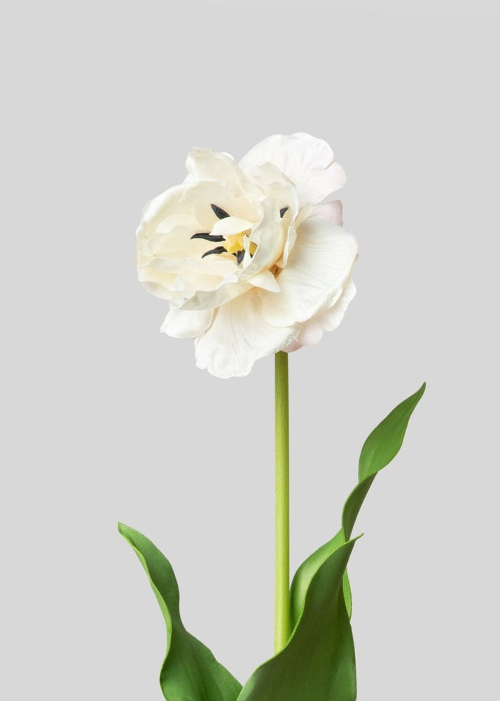 
                      
                        Afloral Cream Fake Real Touch Double Tulip Flower - 26" - lily & onyx
                      
                    