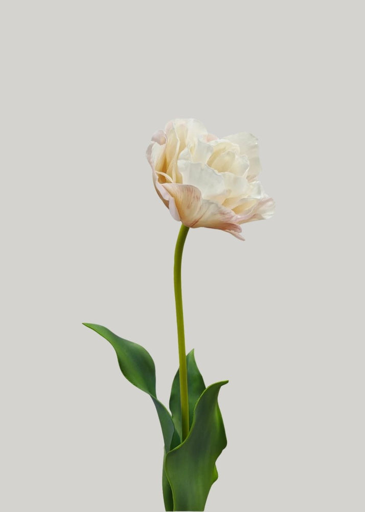 
                      
                        Afloral Cream Fake Real Touch Double Tulip Flower - 26" - lily & onyx
                      
                    