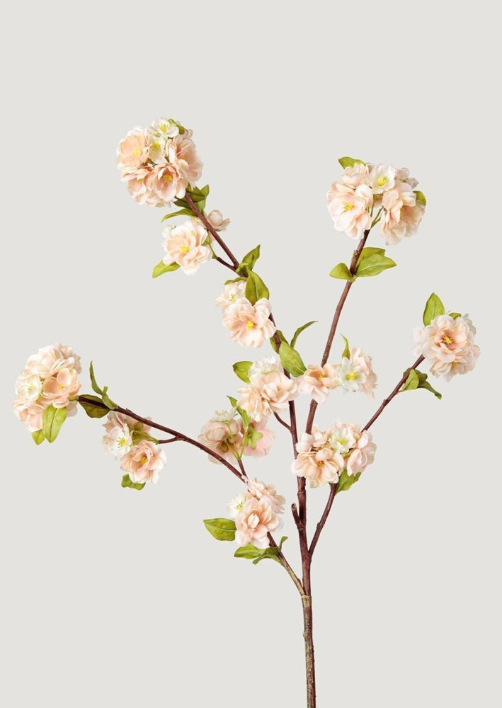 
                      
                        Afloral Cream Linen Peach Blossom Branch, 47" - lily & onyx
                      
                    