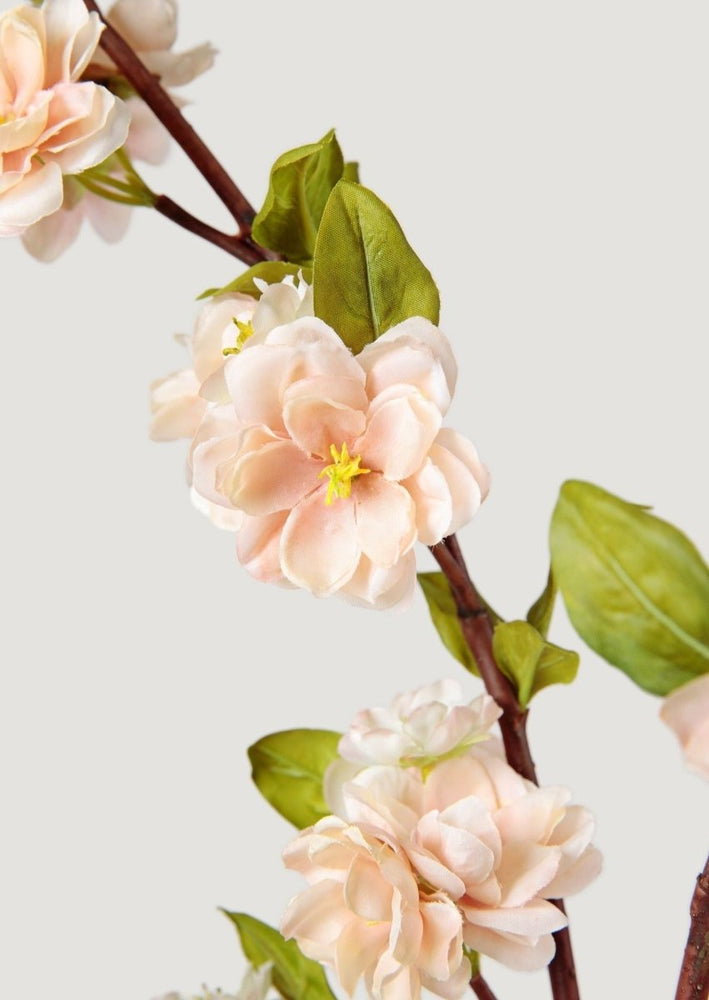 
                      
                        Afloral Cream Linen Peach Blossom Branch, 47" - lily & onyx
                      
                    