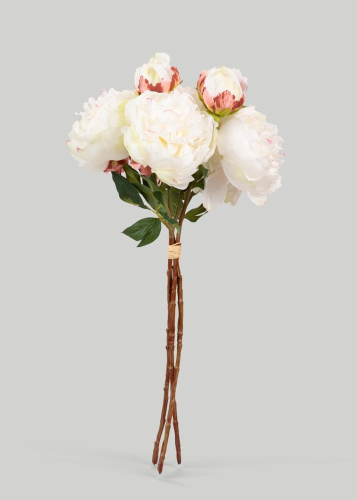 
                      
                        Afloral Cream Peony Faux Flower Bundle of Peonies - 21" - lily & onyx
                      
                    
