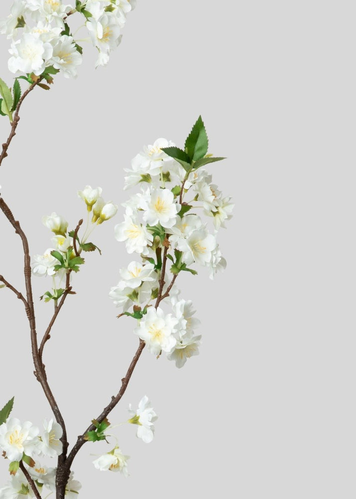
                      
                        Afloral Cream White Artificial Cherry Blossom Branch - 36" - lily & onyx
                      
                    